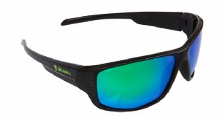 Polarised Sunglasses